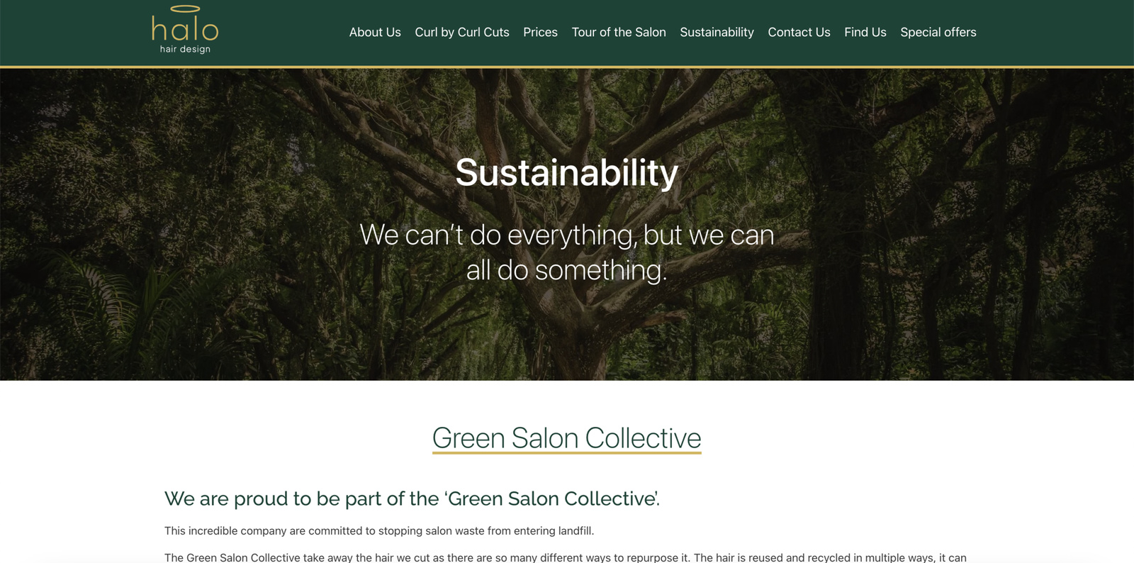 Halo hair design sustainability page