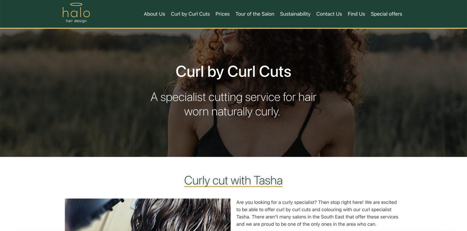 Halo hair design curl by curl cuts page image